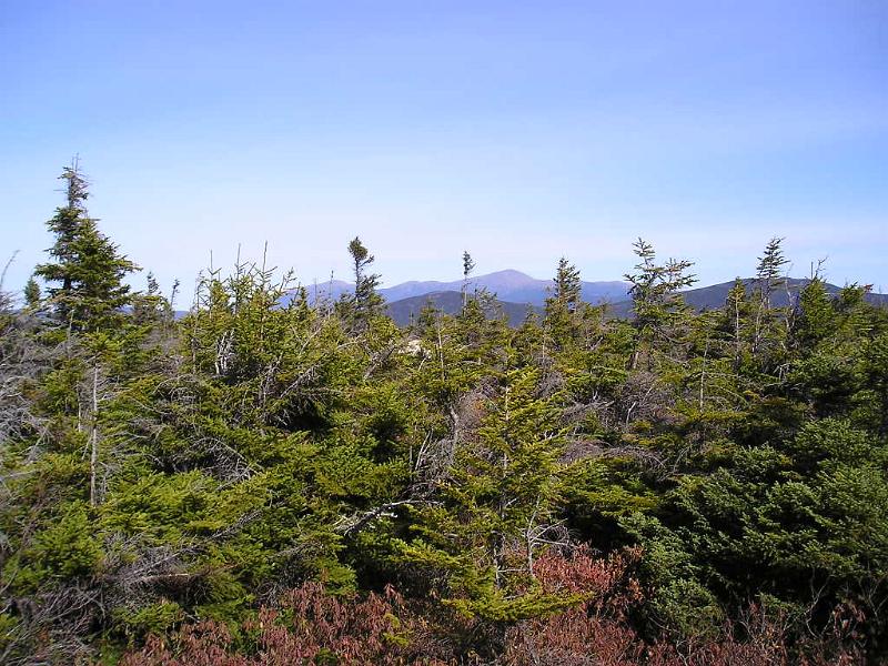 Zeacliff (35).JPG - A view of Mt. Washington from the Twinway trail